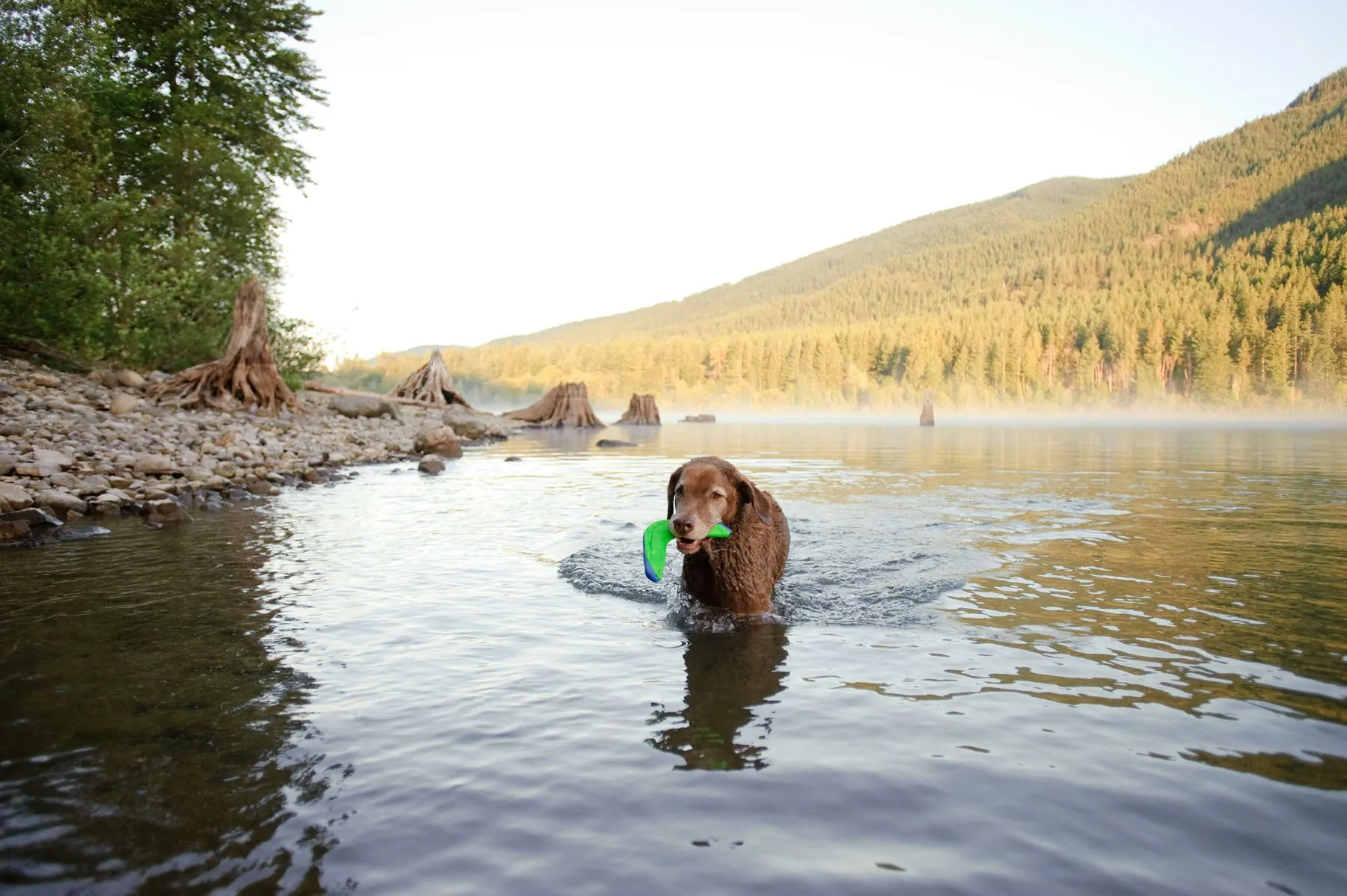 Chuckit! Amphibious Boomerang
