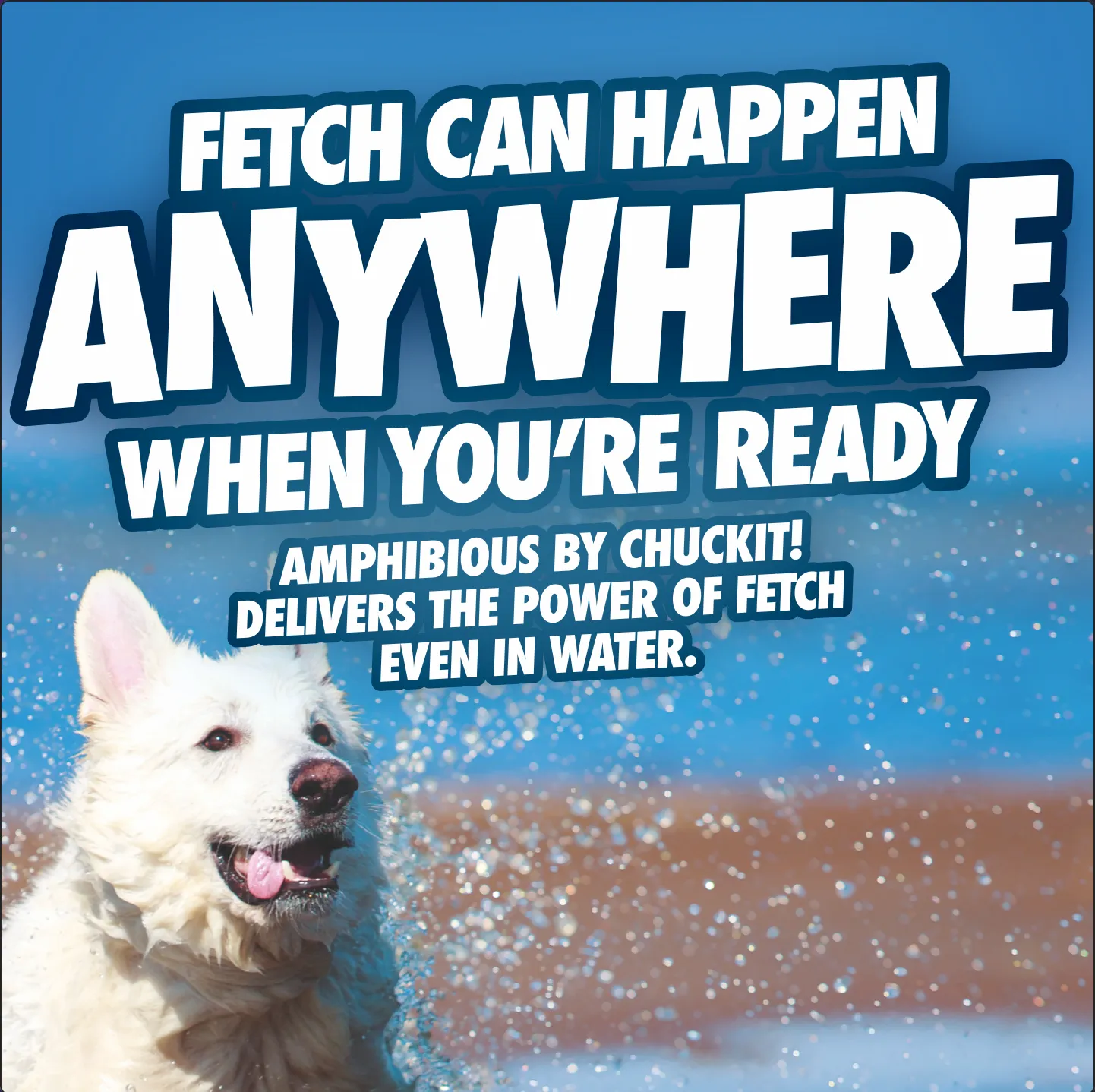 Chuckit! Amphibious Boomerang
