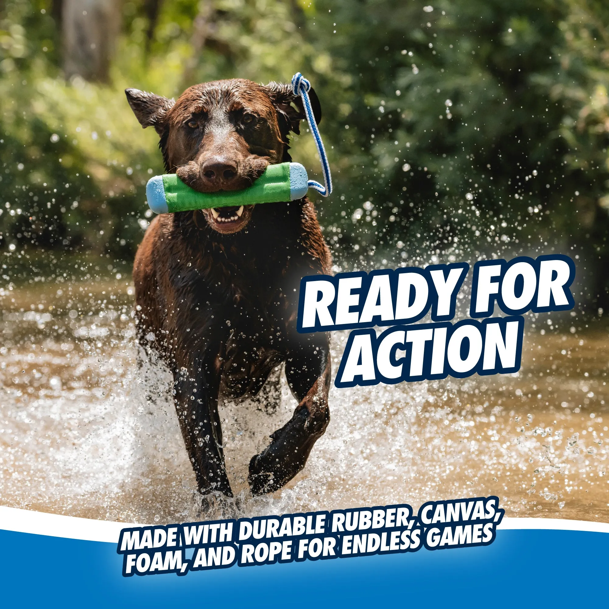 Chuckit! Amphibious Bumper Floating Dog Toy